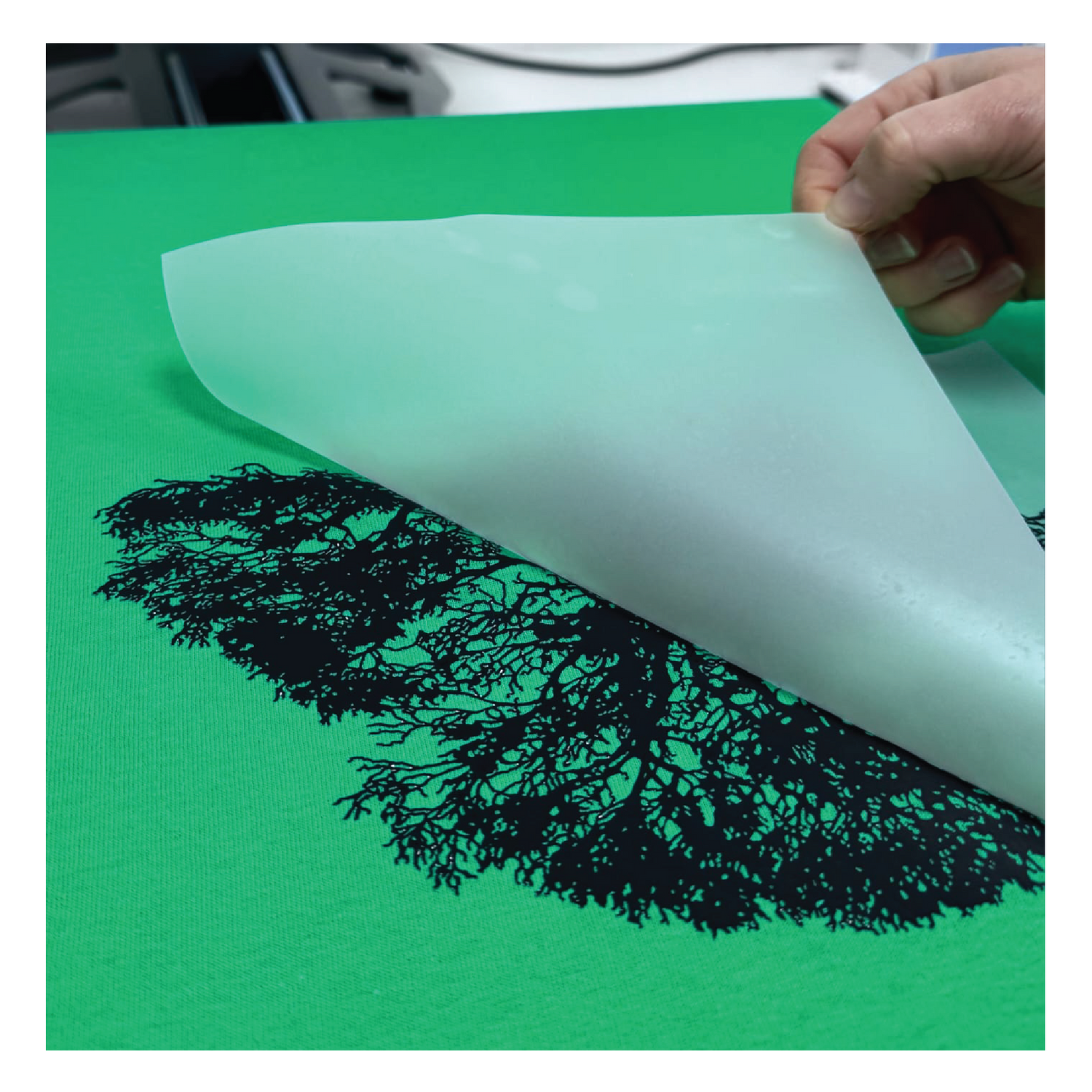Peeling DTF transfer film off green fabric revealing tree design - DTF Print Online